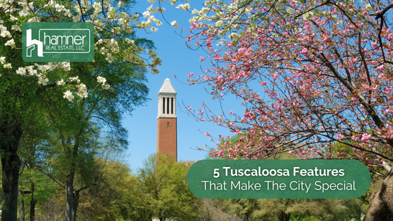 Tuscaloosa is special to residents for so many different reasons. Here are just 5 things we love about the community.