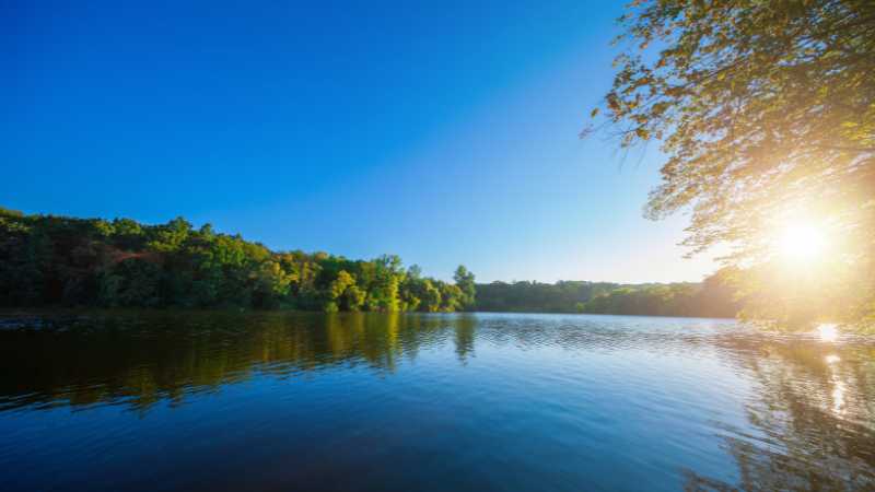 Why Homebuyers Are Drawn to the Lake Tuscaloosa Area | Hamner